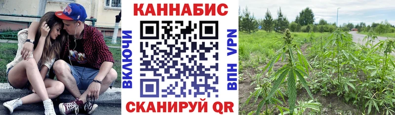 Наркотические вещества Грайворон БУТИРАТ  A-PVP  Амфетамин 