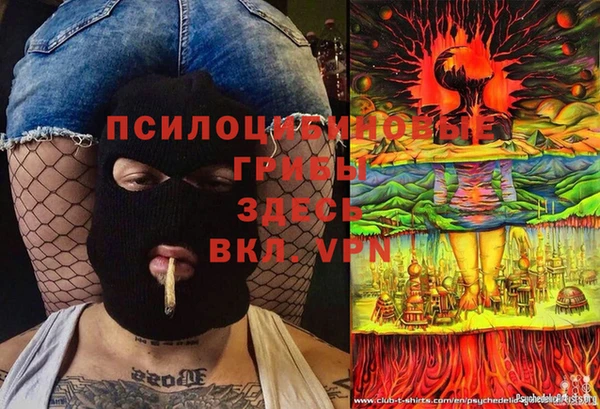 экстази Гусь-Хрустальный