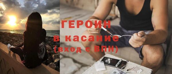 твердый Тайга