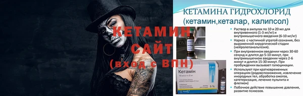 твердый Тайга