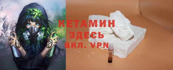 дмт Тавда