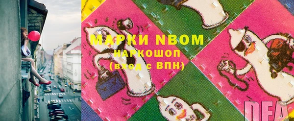 твердый Тайга