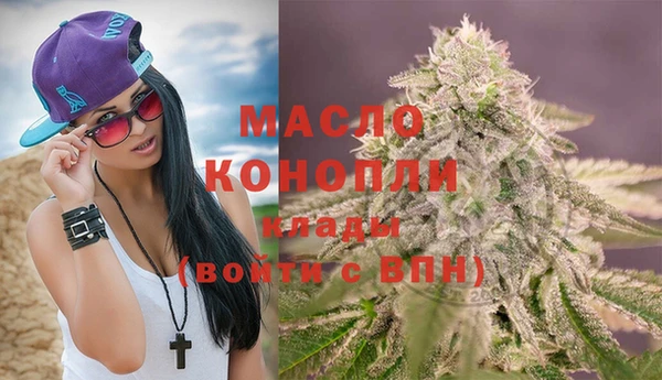 твердый Тайга