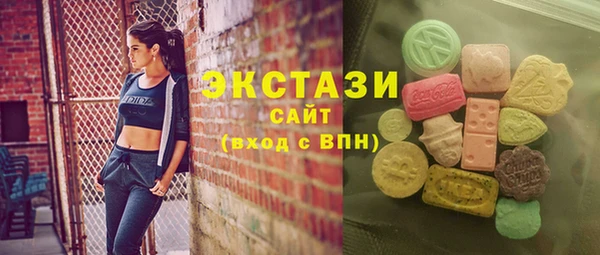 твердый Тайга