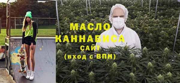 дмт Тавда