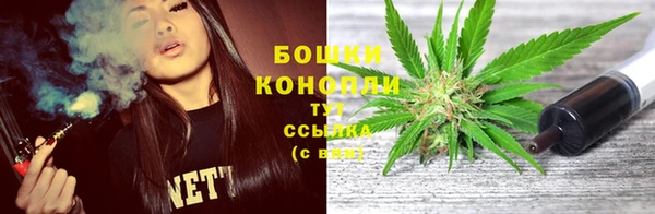 бошки Сясьстрой