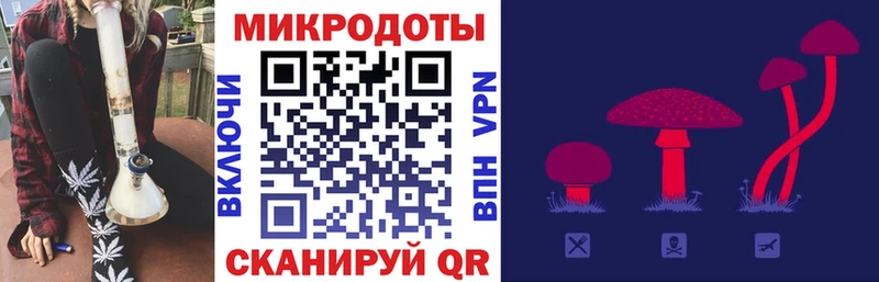 Псилоцибиновые грибы GOLDEN TEACHER  Грайворон 